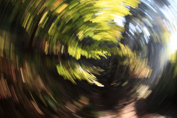 Wirbel_DPP_0014-3d5d1df2